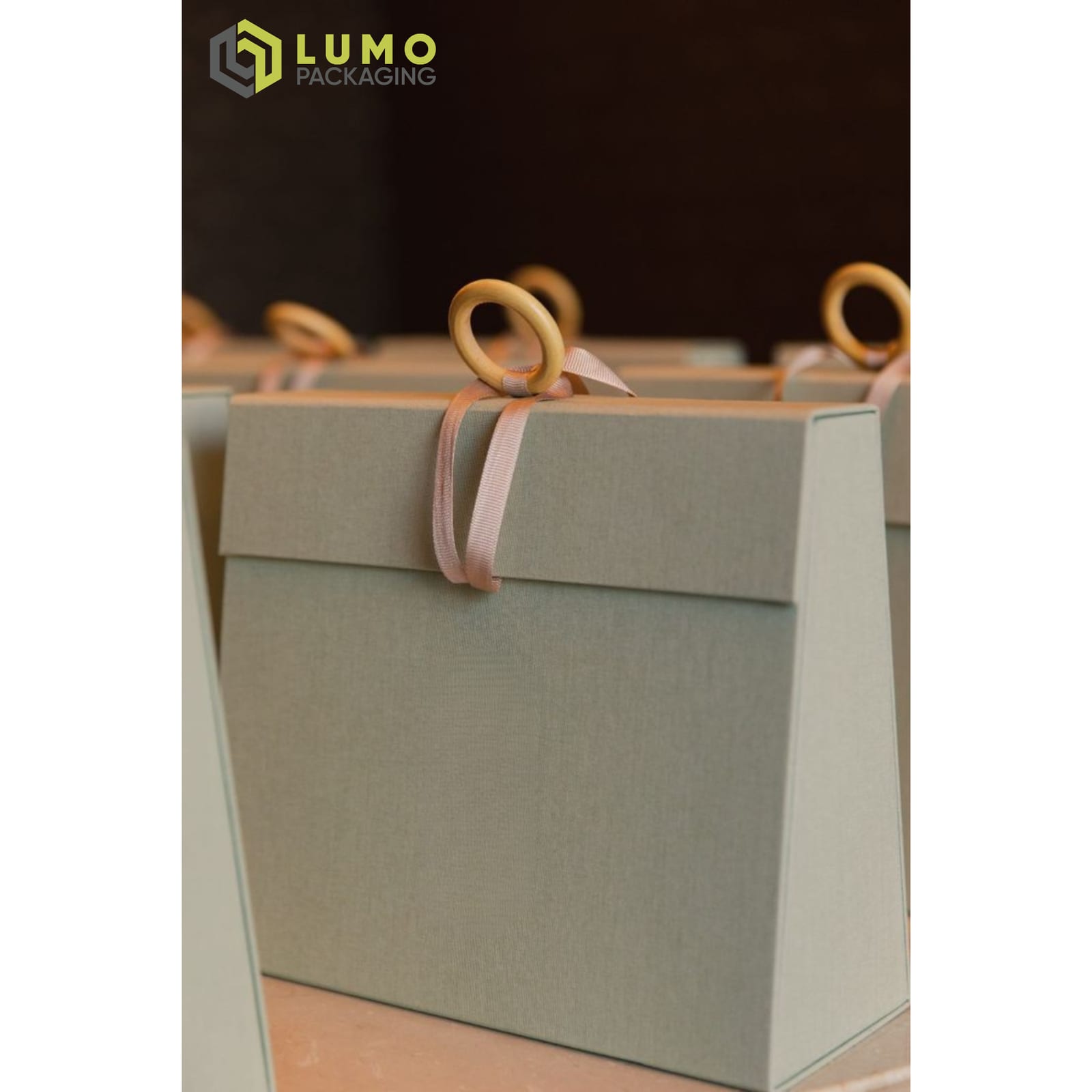 Sage Handbag-Style Rigid Box