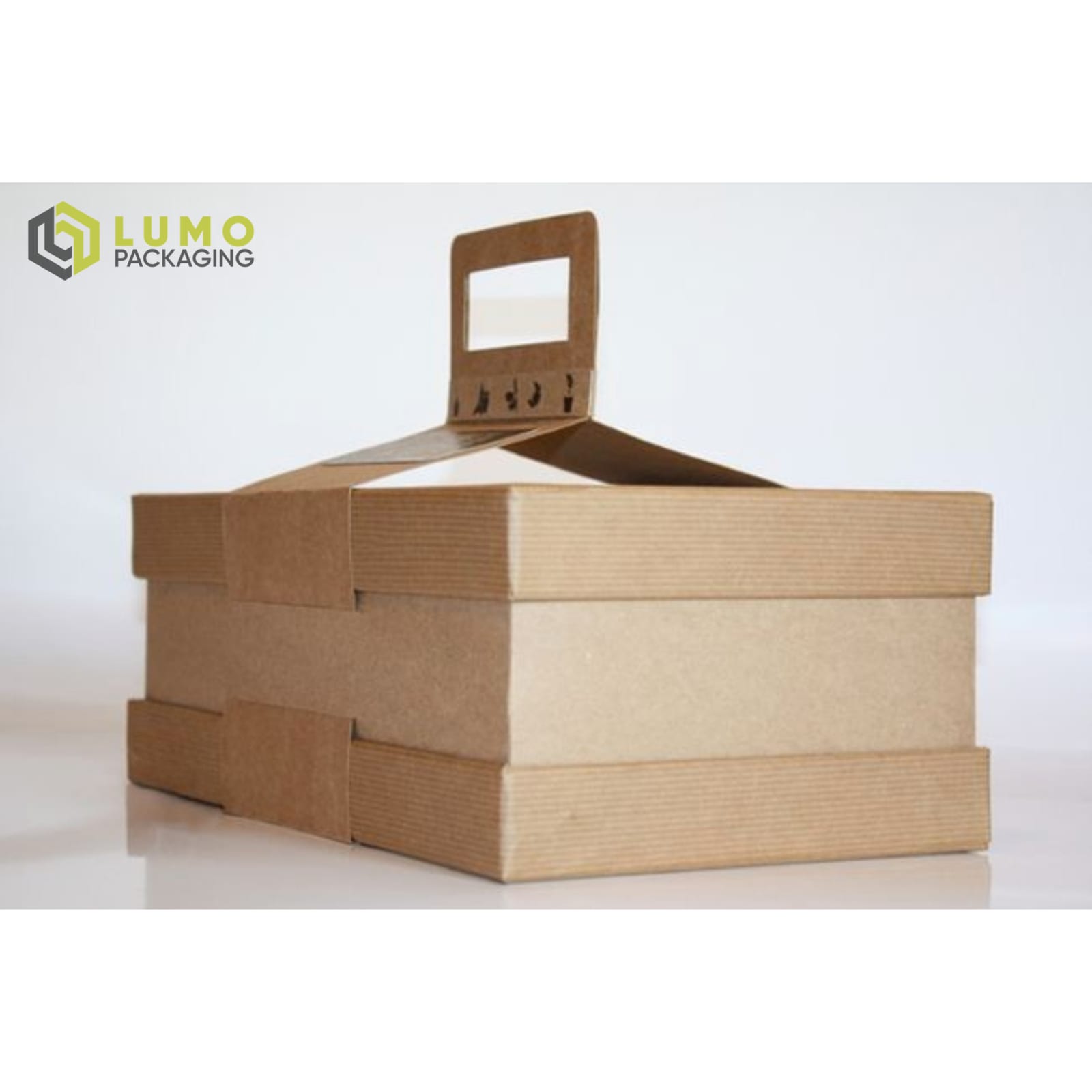 Telescopic Handle Carrier Box
