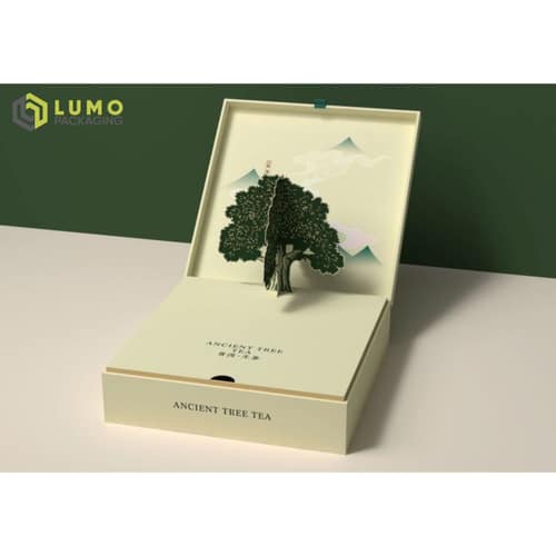 Tea Pop-Up Presentation Box